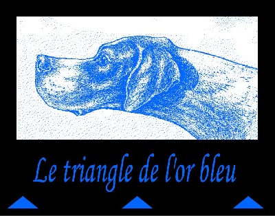 du triangle de l'or bleu - 3ème journée à Marchena